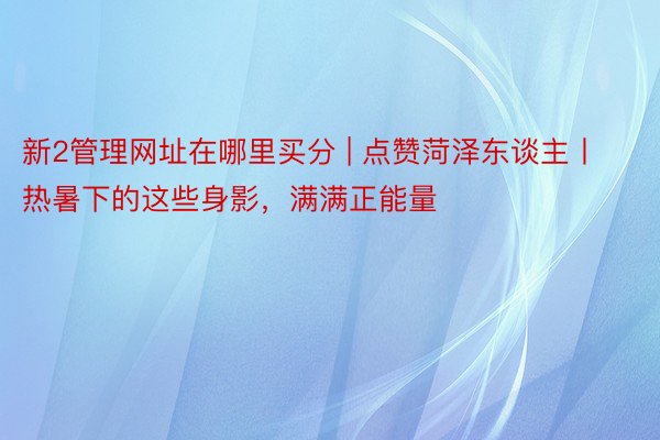 新2管理网址在哪里买分 | 点赞菏泽东谈主丨热暑下的这些身影，满满正能量